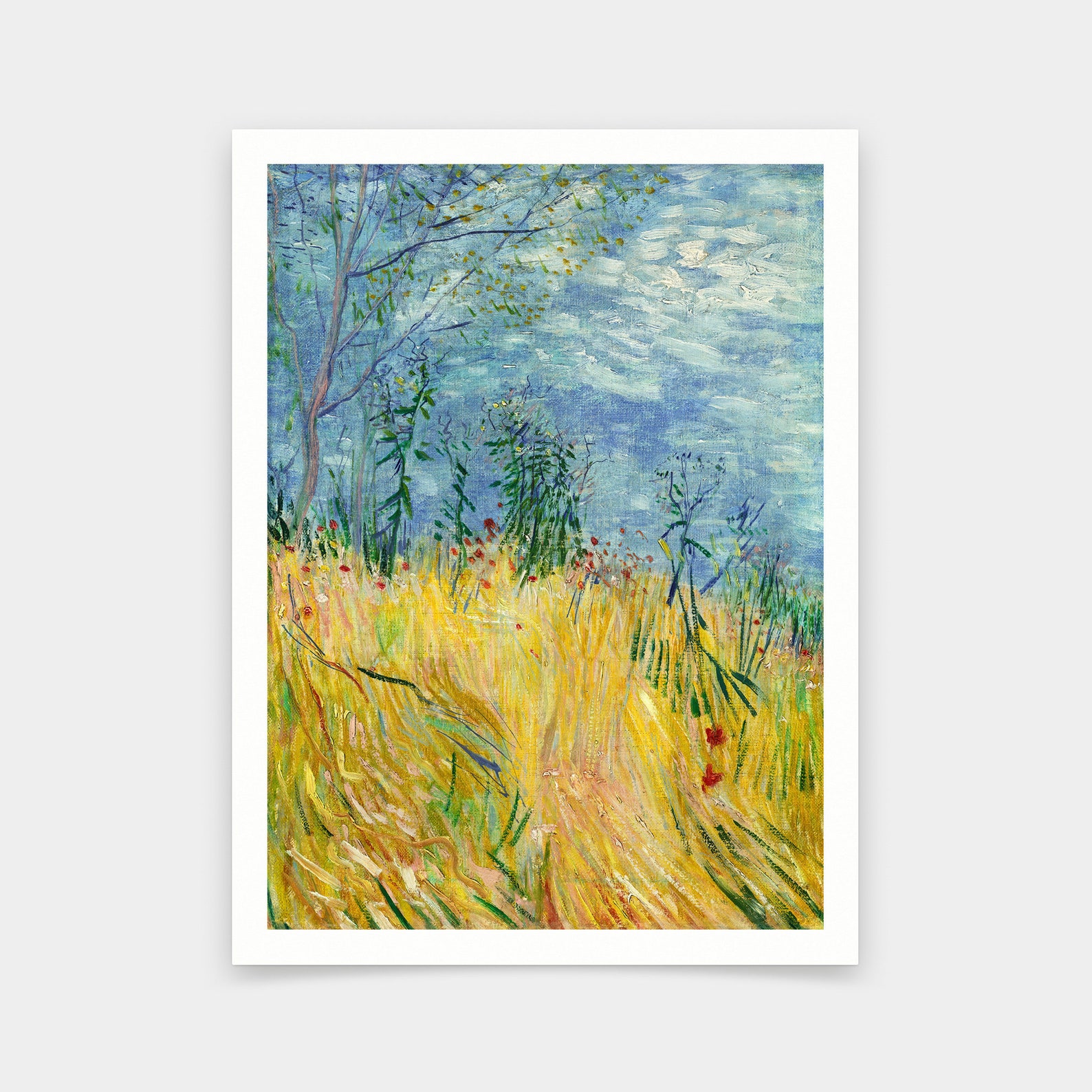 My Image 15