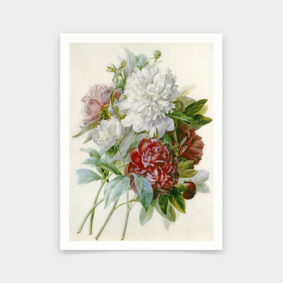 Pierre Joseph Redoute,a Bouquet of Red Pink and White Peonies,art