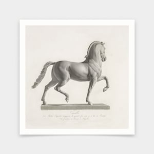 May include: A black and white engraving of a horse statue. The statue is of a horse standing on its hind legs with its front legs raised. The engraving is titled "Cavallo" and includes the text "Statua equestre maggiore di quelle fra una e l'altra in Europa, in fondo al viale a Napoli."