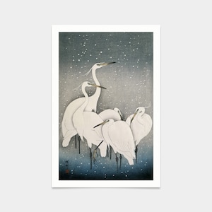 Ohara Koson,Group of Egrets,Japanese wall art,art prints,Vintage art,canvas wall art,famous art prints,V2796