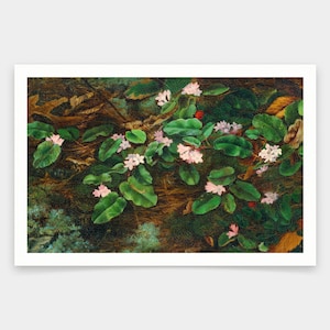 Fidelia Bridges,Trailing Arbutus,art prints,Vintage art,canvas wall art,famous art prints,q1687