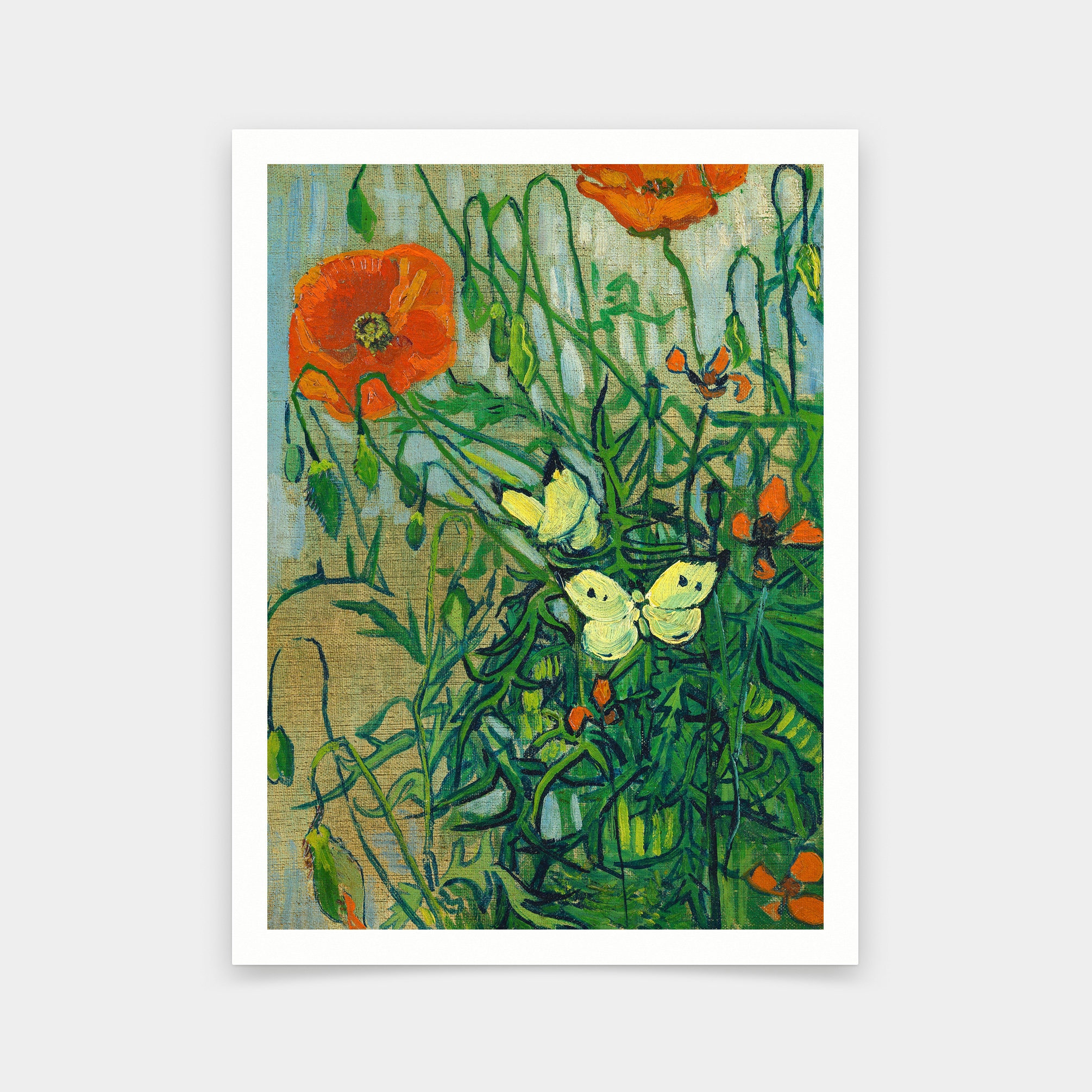 ヴィンセント ヴァン ゴッホ、蝶とポピー、アートプリント