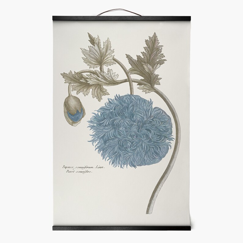plant print,Framed Prints,wall art prints,Hanging Canvas print,xf2870 Blue flower print,Plant illustration