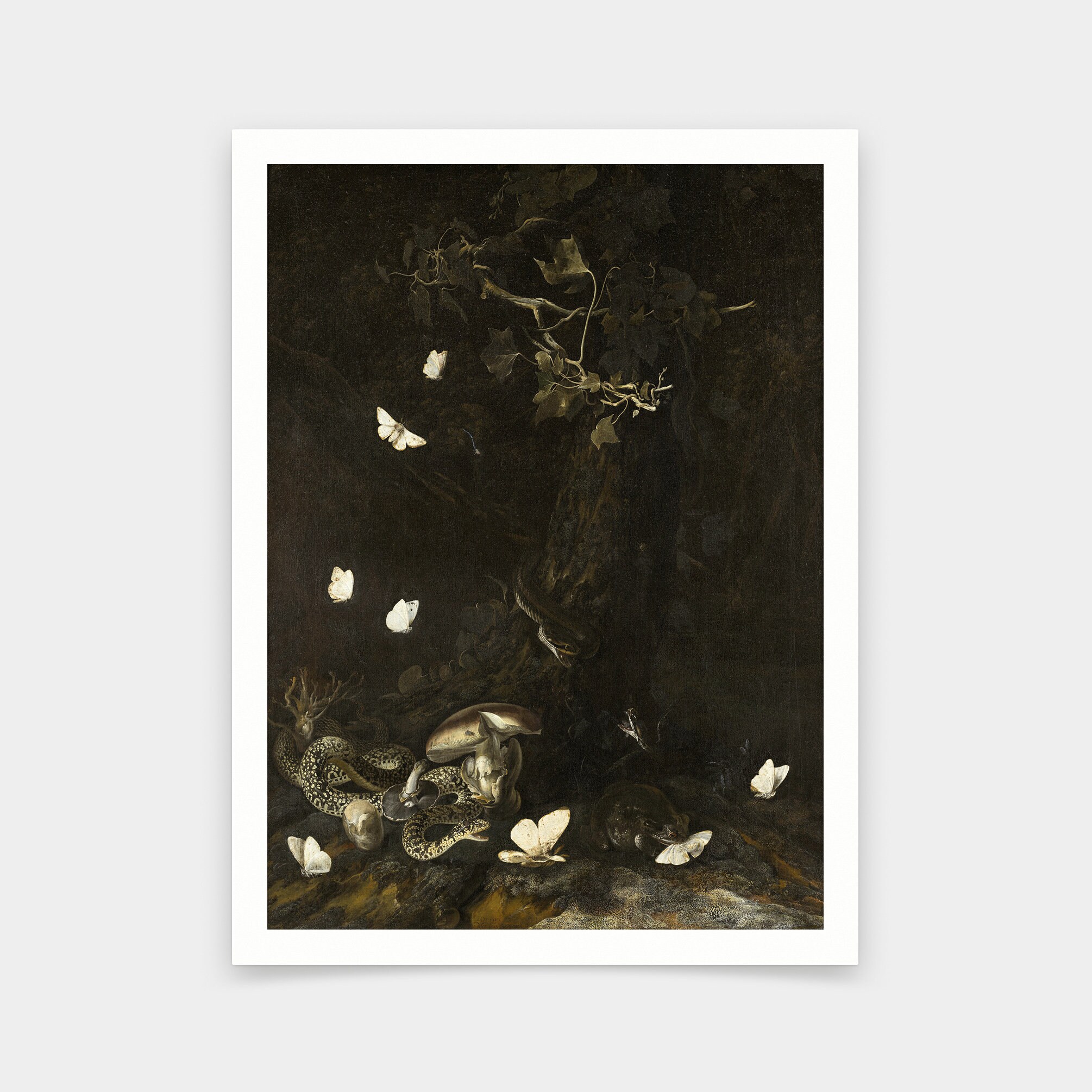 Otto Marseus van Schrieck,Serpents and Insects,art prints,Vintage art,canvas wall art,famous art prints,V6458