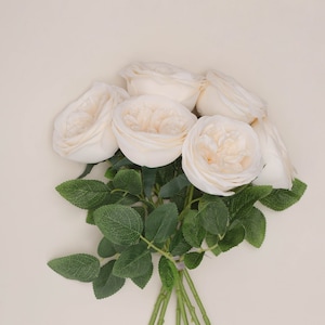 6Pcs Artificial Silk Cabbage Rose Silk English Cabbage Rose for Wedding Bouquet Arrangement Centerpieces- Ivory