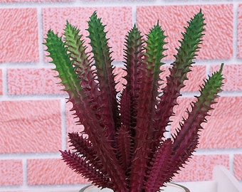 8Head Fake Cactus, Artificial Succulent Plants, Faux Plant for Home Decor Indoor, Fake Cactus, Faux Potted Succulent Decor CXRW-RTF15