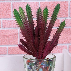 8Head Fake Cactus, Artificial Succulent Plants, Faux Plant for Home Decor Indoor, Fake Cactus, Faux Potted Succulent Decor CXRW-RTF15
