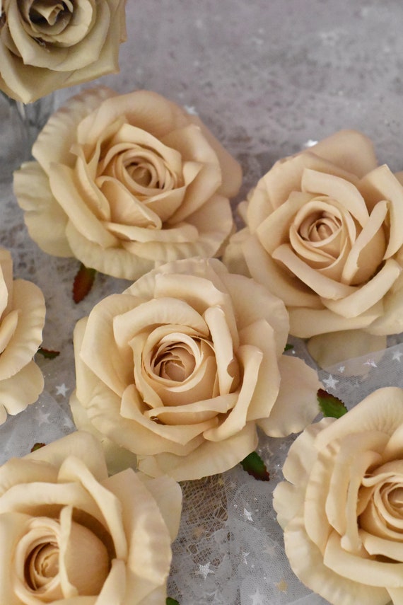 Light Champagne Rose Head Only Artificial Roses Flowers Champagne
