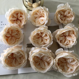 10pcs Large Champagne Austin Roses Cabbage Rose Champagne Artificial Flowers Head in Silk for Wedding with Stems