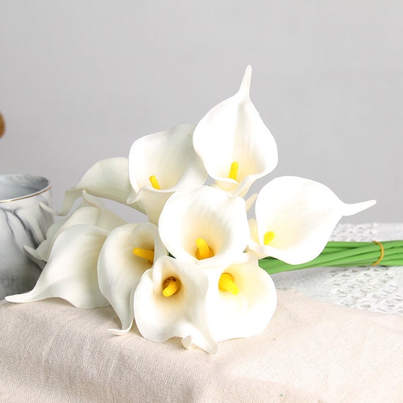 Li Shun Jin, 20pc Set Of Keepsake Artificial Real Touch Calla Lily With Small Perfect For Making Bouquet Boutonniere Corsage Ballet