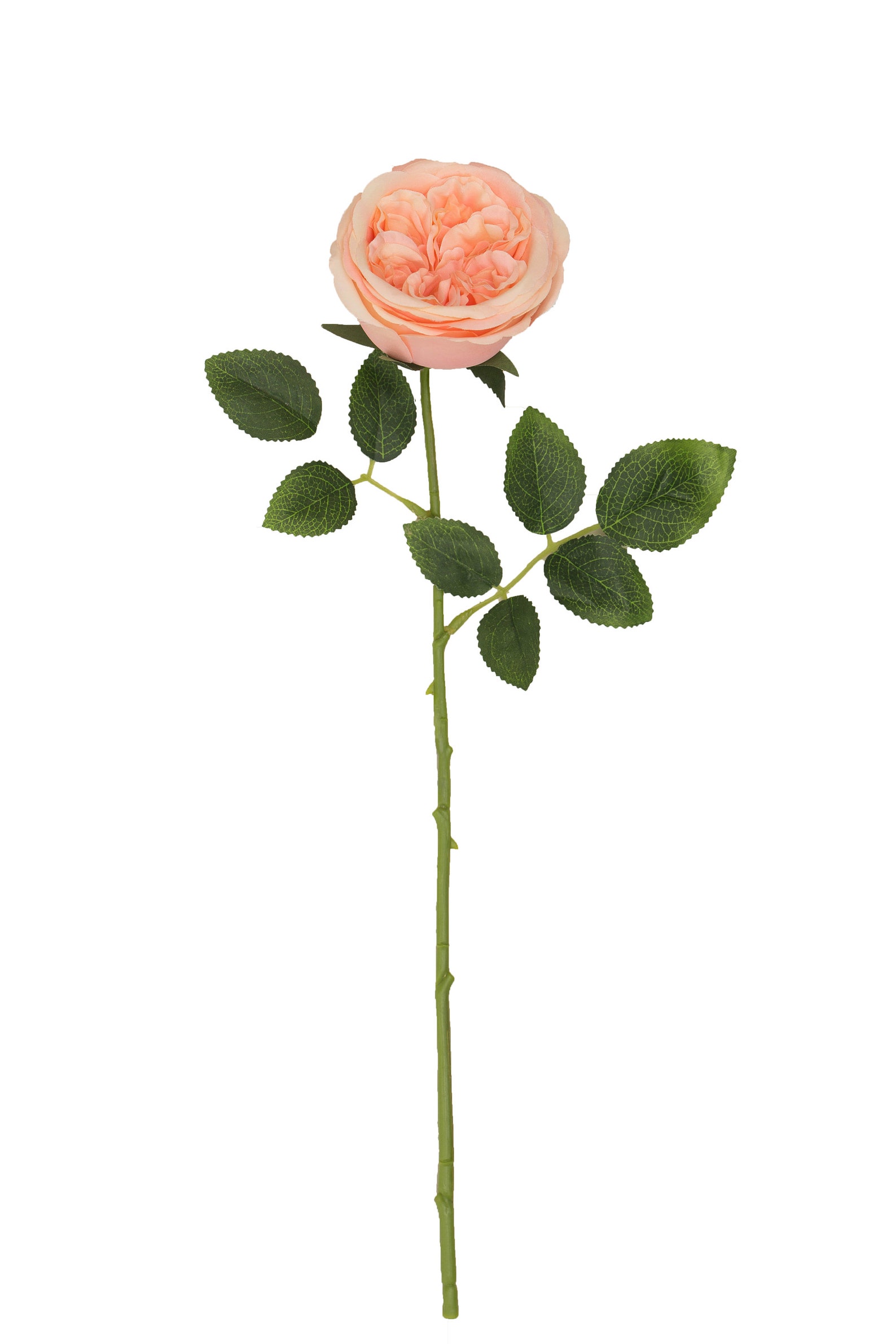 Artificial 3pcs Blush Silk Hydrangea 4pcs Peach Cabbage Roses Austin Roses for Wedding ...
