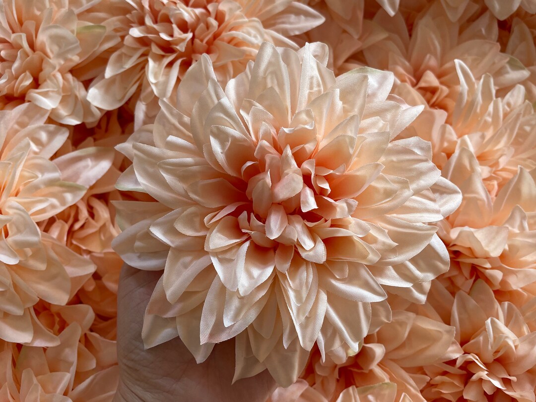 Wholesale 6 Peach Dahlia Flower Peach Artificial Flower Silk Flower Dahlia Shower Wedding