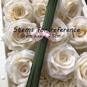 May include: A bunch of white artificial roses with green stems. The stems are tied together with a pink ribbon. The text "Stems for reference Stem size: 25cm" is visible in the image.