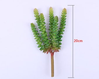 1pcs Artificial Succulent Plants Faux Flocking Succulents Assorted Unpotted Succulent Plants Arrangement Textured Cactus Stems CXRW-RTF16