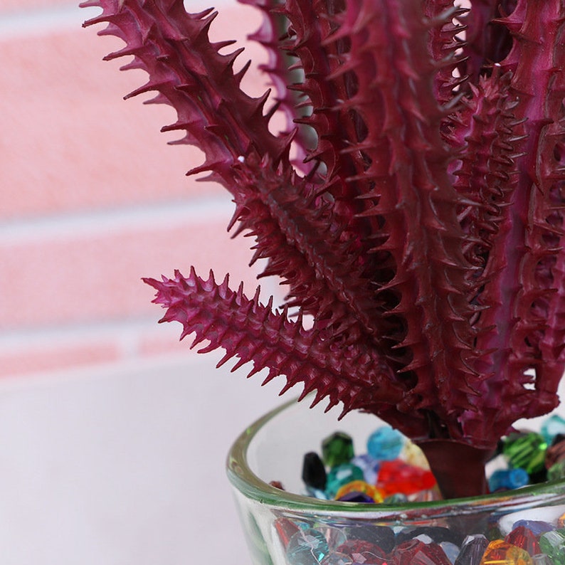 8head Fake Cactus Artificial Succulent Plants Faux Plant for Etsy