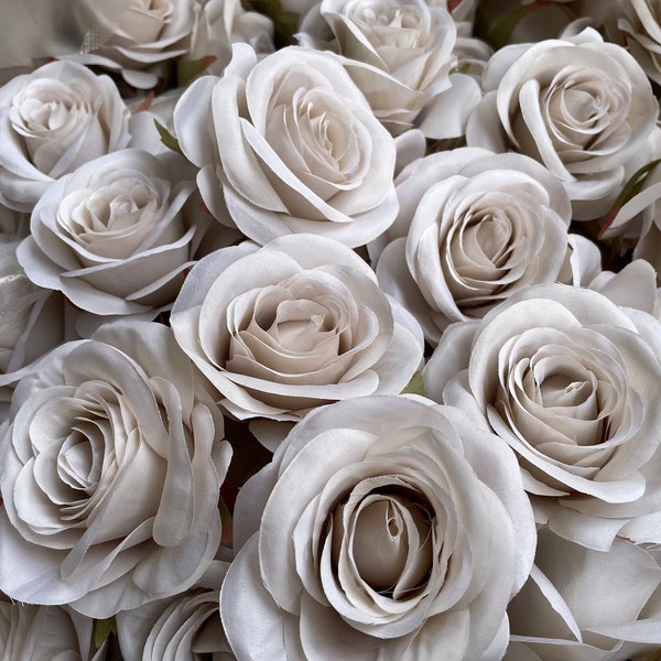 Nude Color Roses Nude Rose - Etsy