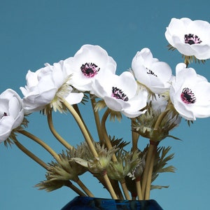 White Anemones Flowers Real Touch Anemones PU Wedding Flowers Stem DIY  Bridal Bouquets, Centerpieces, Decorative Flowers, Cake Decor