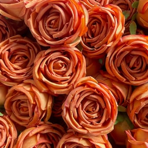 Artificial Rose Head Only in 10cm Burnt Orange Rose Head Faux Silk Rose for Wedding Centerpieces Arrangements Bouquets 10-100pcs