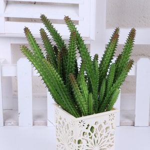 2PCS Artificial Succulent Plants Faux Flocking Succulents Assorted Unpotted Succulent Plants Arrangement Textured Cactus Stems CXRW-RTF17