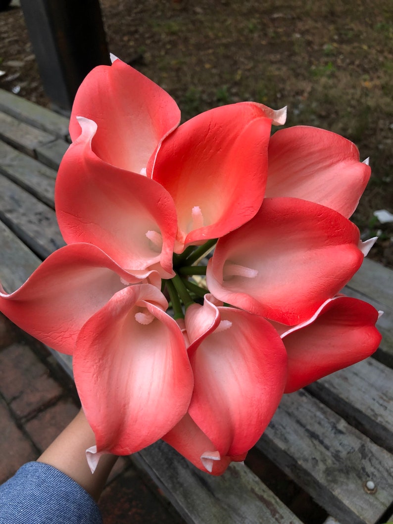 Wholesale 30pcs Coral Calla Lilies Real Touch Calla Lily Etsy