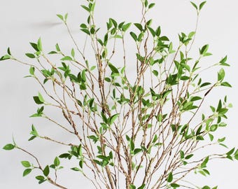 6pcs Artificial Greenery Stems 39'' Long Stem Artificial Sprout Plant Leaves Silk Greenery for Floor Vase Spring Floral Table Centerpiece
