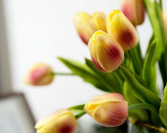 20 Pcs Tulipano artificiale tocco reale tulipano fiori falso seta fiori per vases matrimonio casa camera decorazione JBRW-TUL6 (arancione)