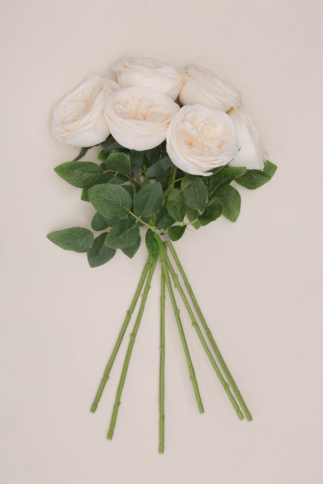 6pcs Artificial Silk Cabbage Rose Silk English Cabbage Rose for Wedding