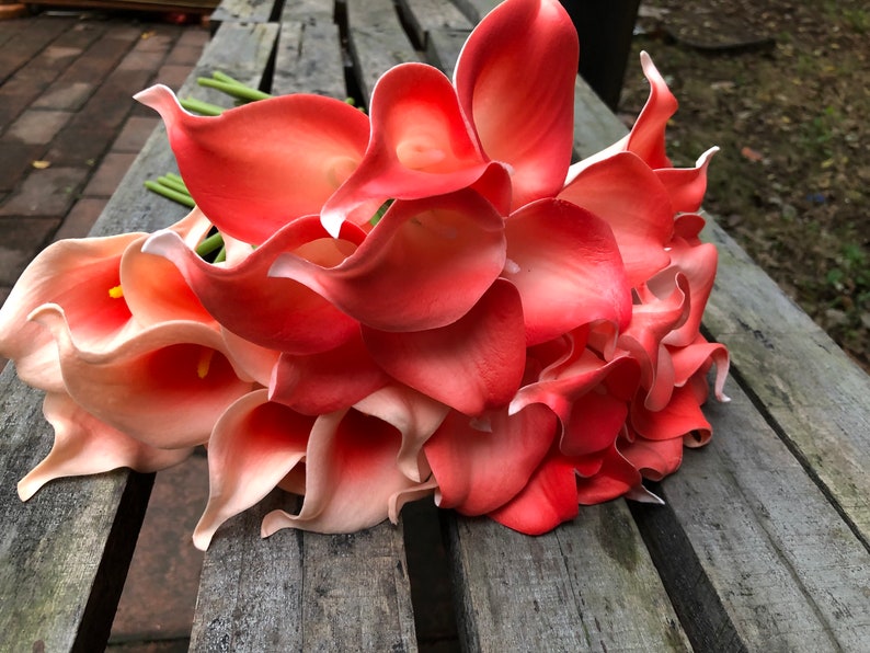 Wholesale 30pcs Coral Calla Lilies Real Touch Calla Lily Etsy