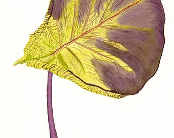 Leaf Art Print, Watercolor Painting, Fiddle Leaf Fig, Modern Wall Art