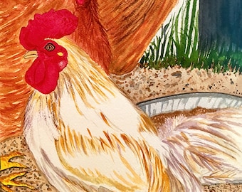 Free-Range Chicken In the Barnyard, Watercolor Art Print