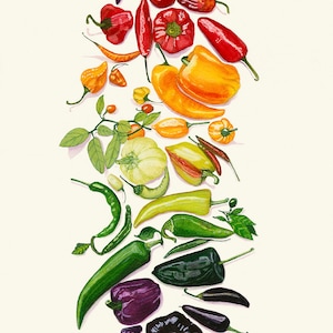 Multi-Pepper Art Print, Watercolor Painting