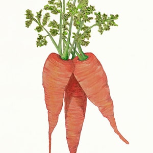 Carrot Bunch Art Print: Vegetable Kitchen Wall Decor