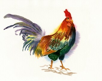Colorful Rooster, Watercolor Art Print