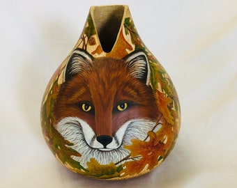 Fox Gourd