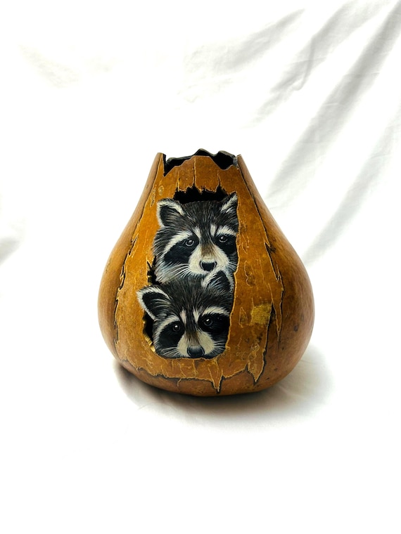 Raccoon Brothers