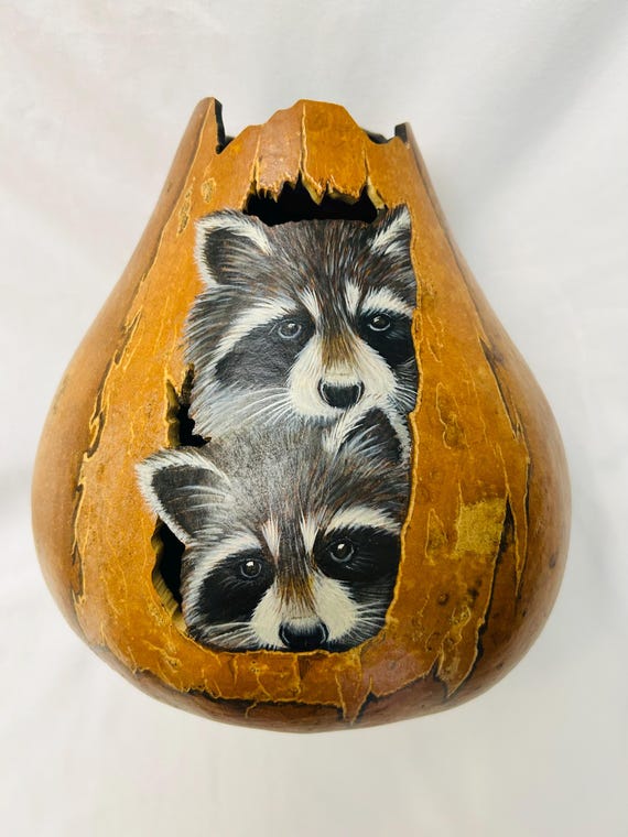Raccoon Brothers