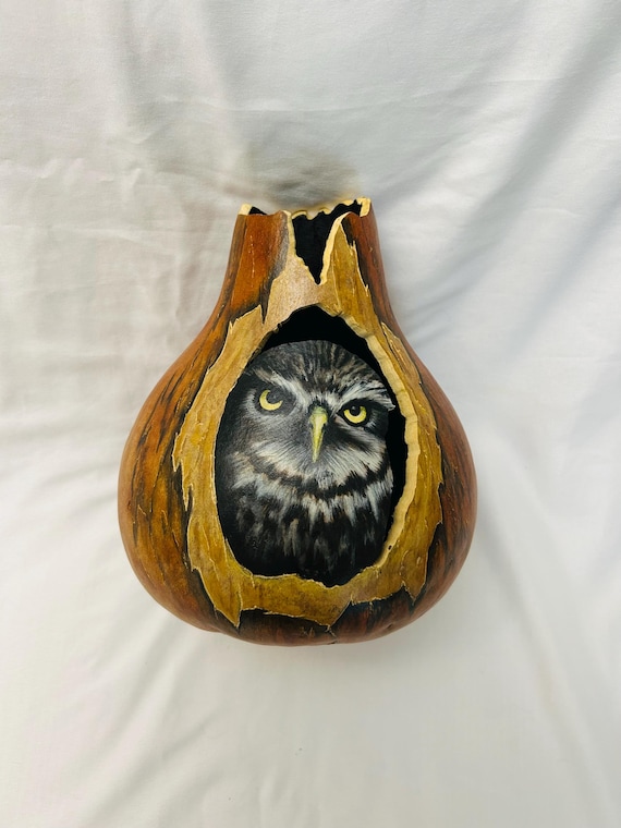 Owl Gourd