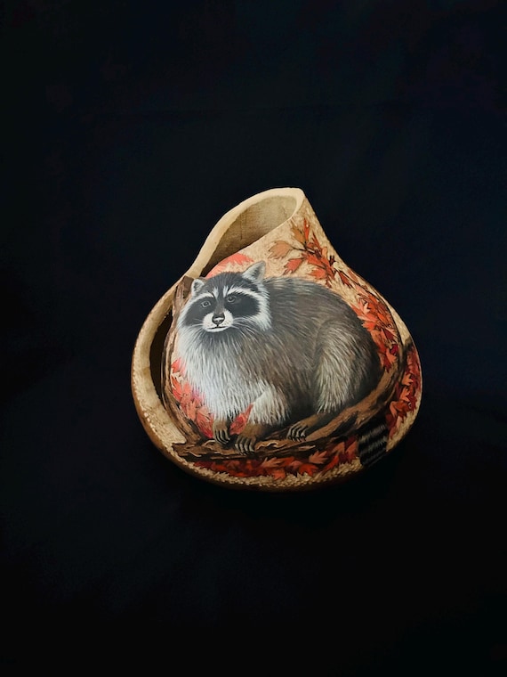 Raccoon Gourd