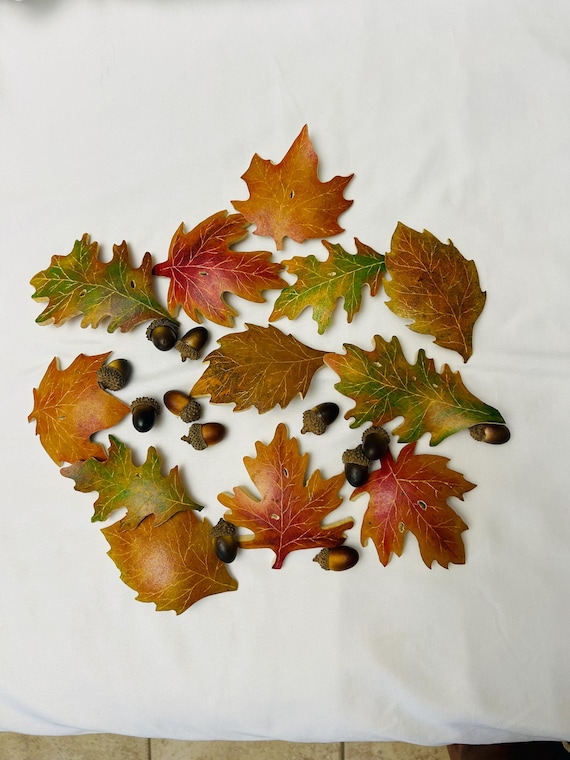 Fall gourd leaves and acorns