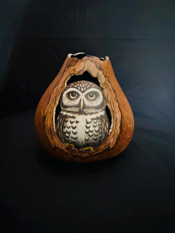 Owl gourd