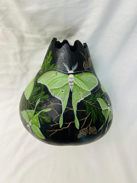 Luna Moth Gourd