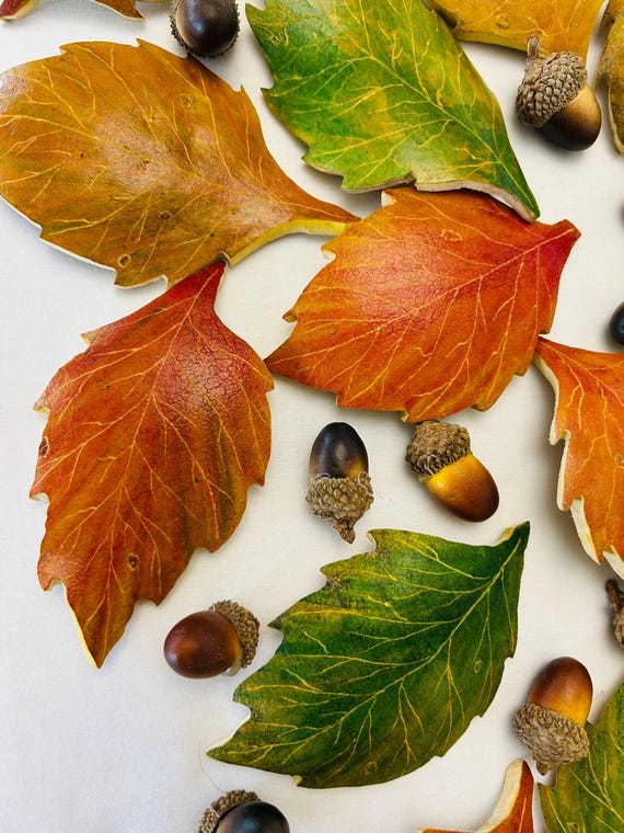 Fall gourd leaves and acorns