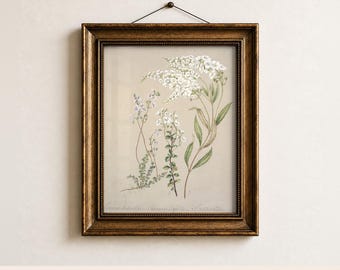11x14 Frame Mockup Vertical | Antique Bronze Art on Sunlit Plaster (PSD + Canva)