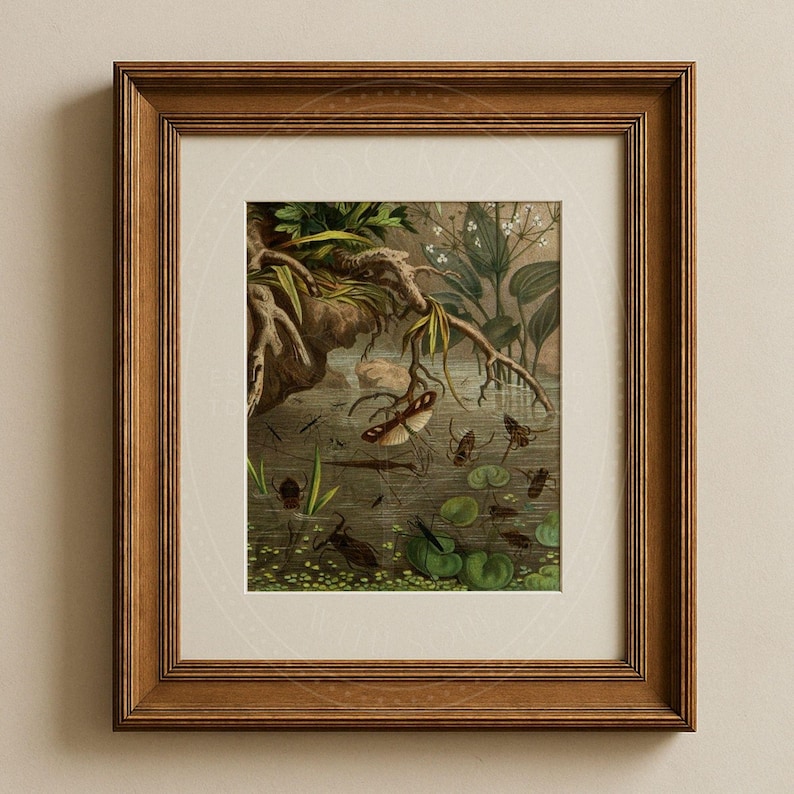 May include: A vintage illustration of a pond scene with a variety of insects, including a butterfly, beetles, and dragonflies. The illustration is framed in a brown wooden frame.