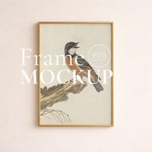 May include: A framed print with a detailed illustration of a bird perched on a branch. The bird has black, orange, and grey feathers. The frame is gold-coloured, and the background is a neutral beige. The words "Frame MOCKUP" are printed on the image.