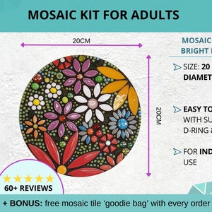 Finished mosaic kit with floral design hanging on a white wall, with arrows and dimensions explaining its size of 20cm diameter, that it is for indoor use only and that there is d-ring supplied for easy hanging.