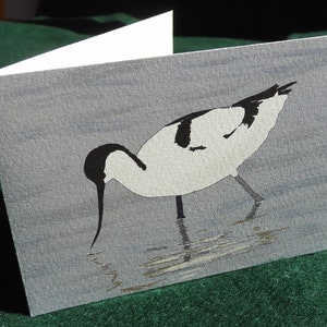 May include: A black and white illustration of a bird with a long beak standing in shallow water. The bird is facing left and its head is bent down as if it is looking for food. The background is a light blue color.