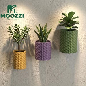 Maceta de pared para montar, impresión STL, maceta de burbujas para suculentas, decoración, modelo 3D