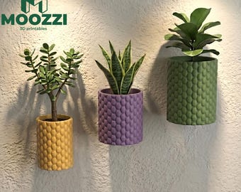 Stampa STL di una fioriera da parete per piante grasse, vaso a bolle, decorazione, modello 3D