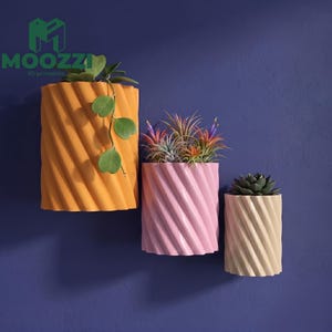 May include: Three spiral-textured planters in shades of orange, pink, and cream, each holding different plants. The planters are mounted on a dark blue wall. The logo "MOOZZI 3D printables" is in the upper left corner.